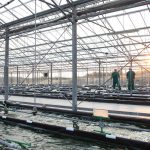 production unit greece spiroulina platensis