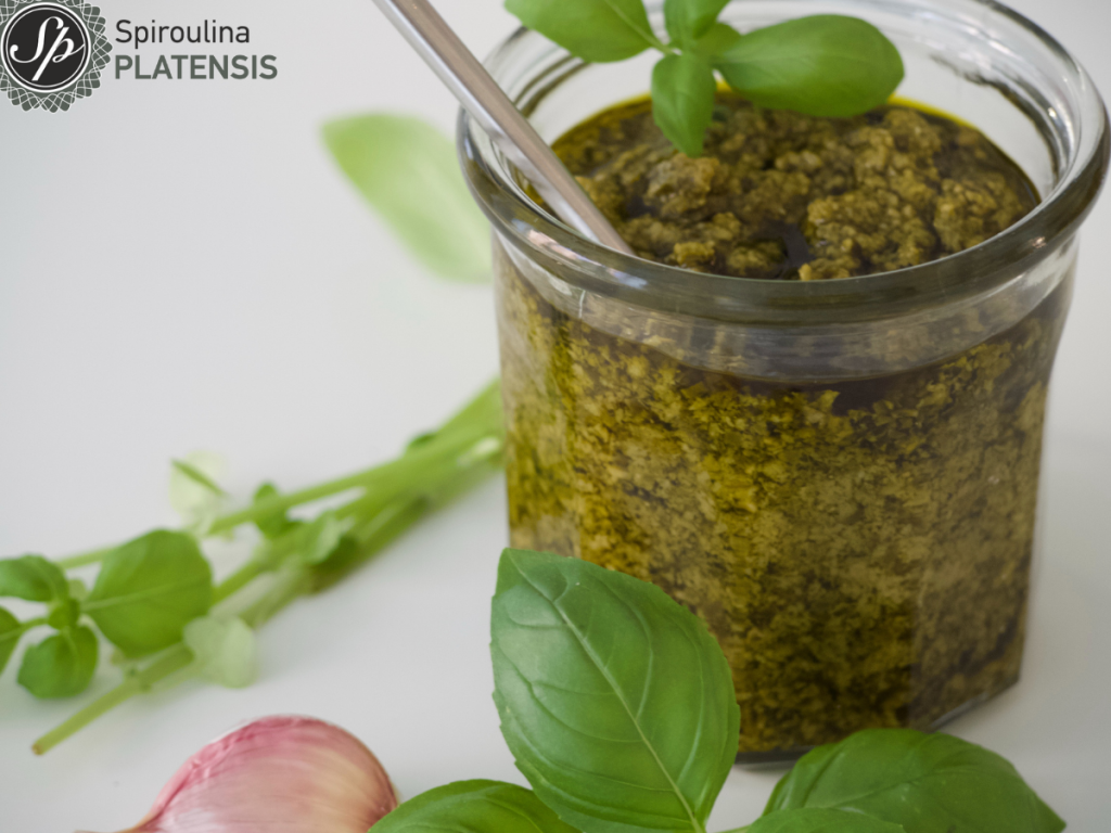 pesto sauce spiroulina platensis spirulina 2