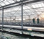 spiroulina platensis production unit 1 199
