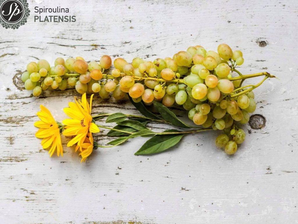 Γιατί να βάλεις το σταφύλι στη διατροφή σου; grapes spiroulina platensis spirulina superfood 1