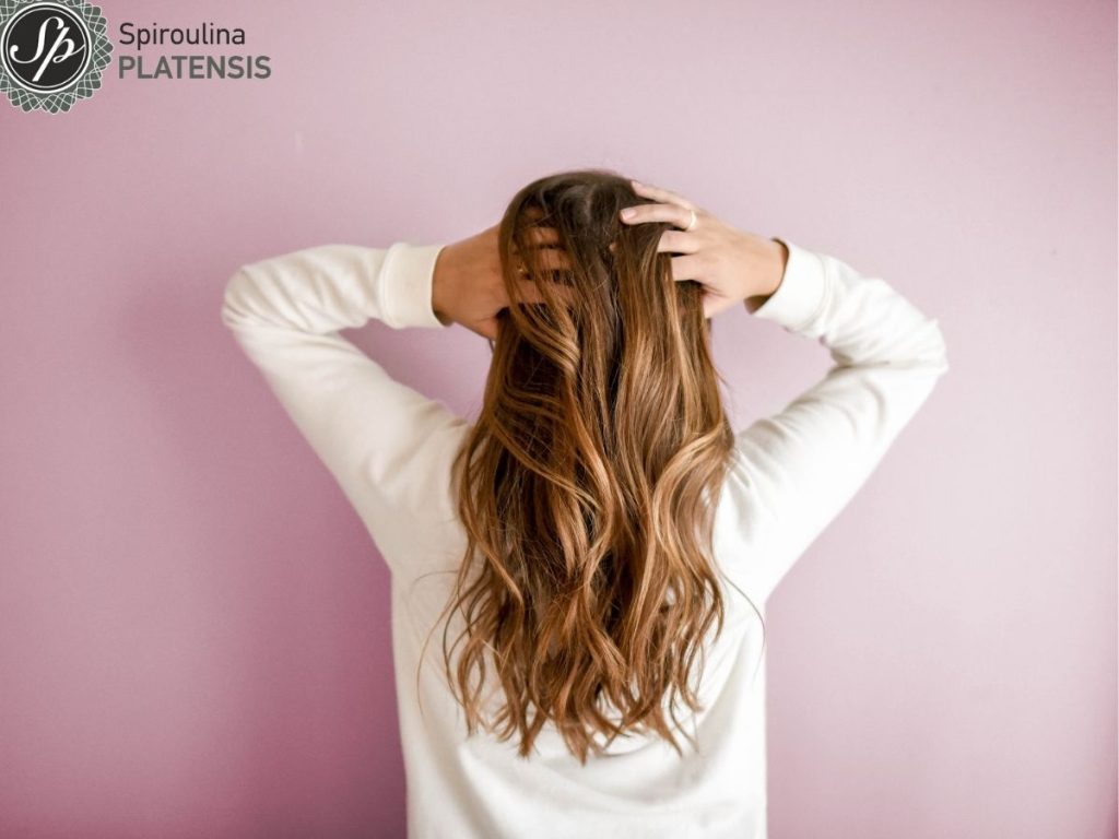 hair care spiroulina platensis spirulina superfood 2