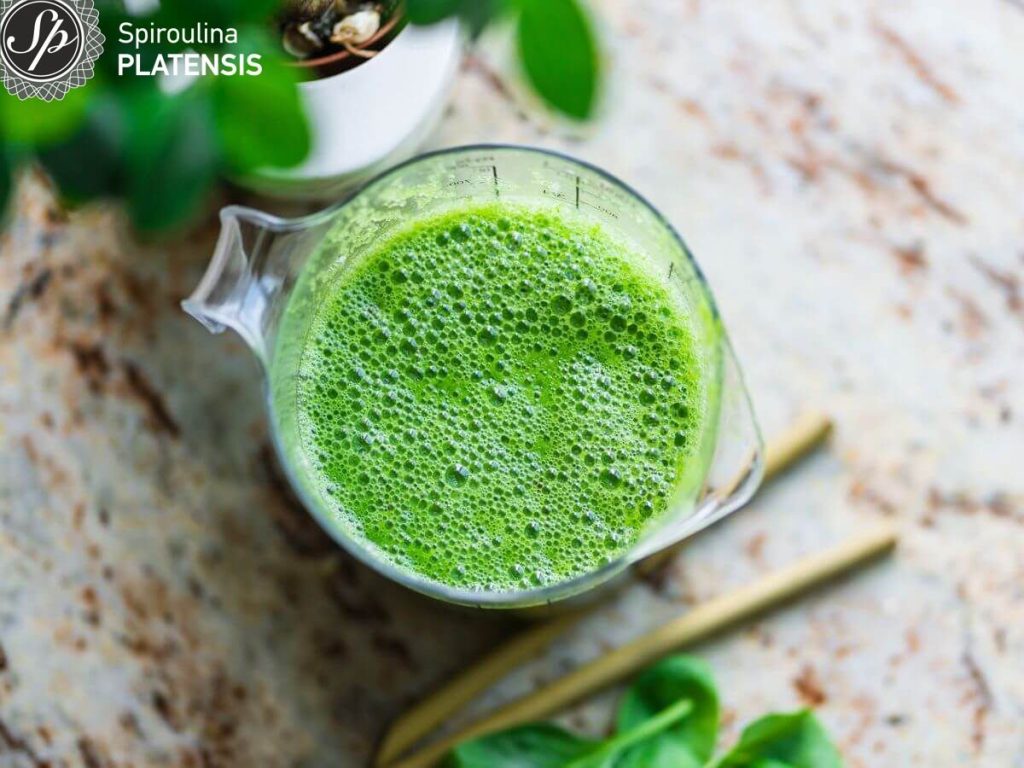 3 Summer drinks liquid refreshment drinks tan refresh spirulina spiroulina platensis superfoodb