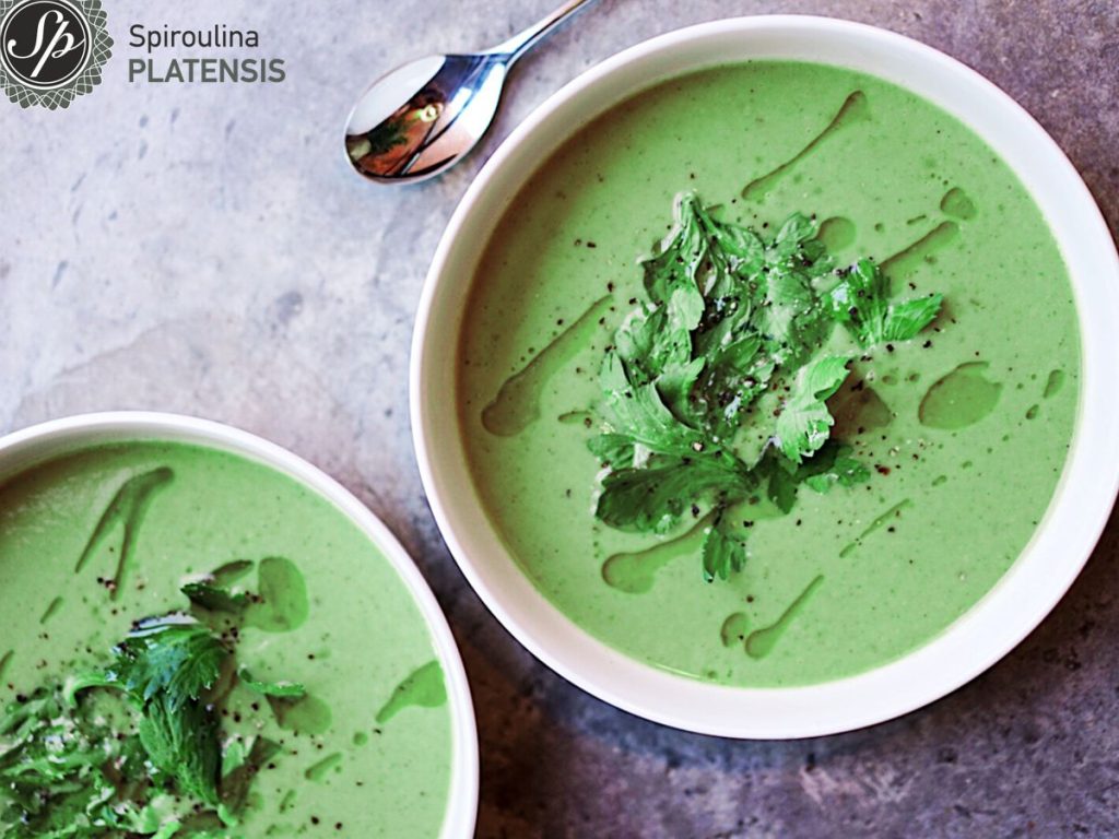 Βελουτέ σούπα με πράσινα λαχανικά & Σκόνη Spiroulina PLATENSIS soup veloute green vegetables spiroulina platensis spiroulina