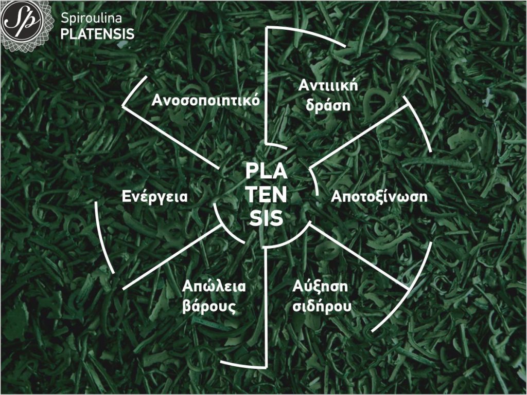 Spiroulina PLATENSIS: Ευεργετικές ιδιότητες spiroulina platensis flakes superfood natural product greek product