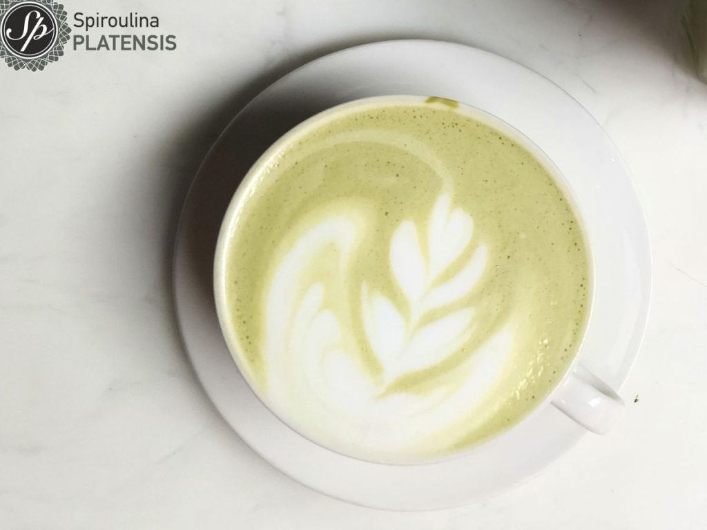 Sp_PLATENSIS latte spiroulina platensis latte spirulina 2