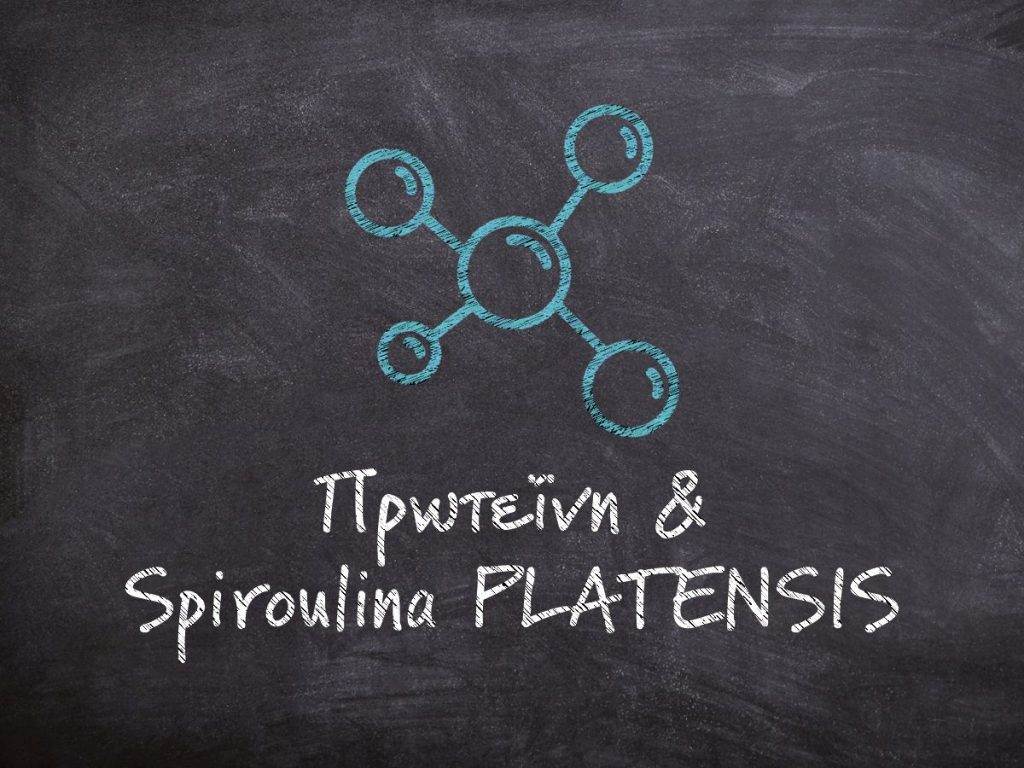 Πρωτεΐνη: βασικό συστατικό της Spiroulina PLATENSIS Πρωτεΐνη site