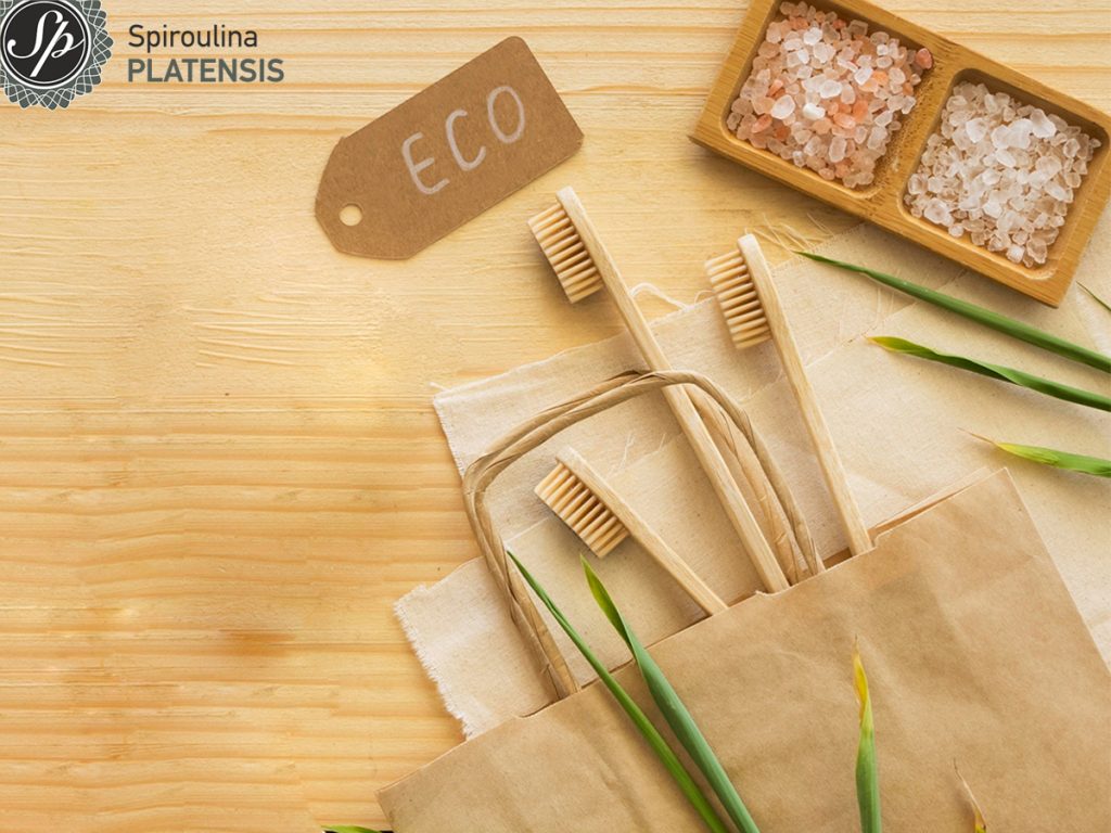 Why use a bamboo toothbrush? bamboo toothbrushes soap top view site