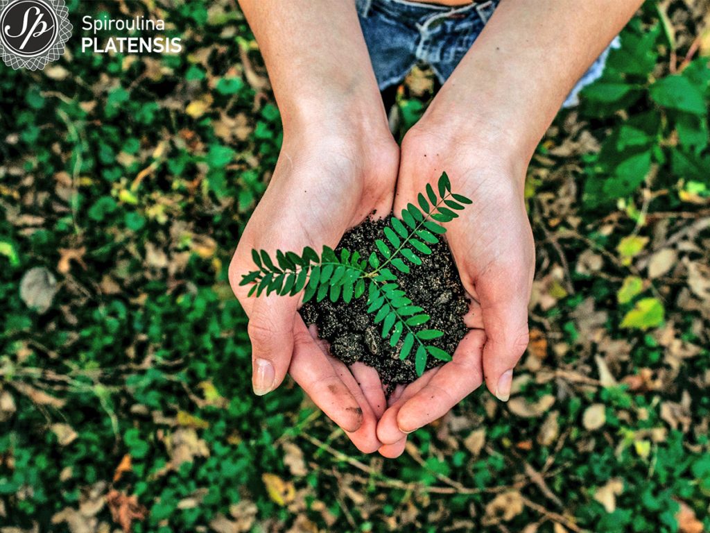 5 changes in our daily life that protects the enviroment world environment day save the nature recycle