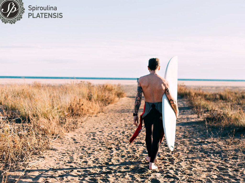 hipster trendy surfer beach with surfboard site