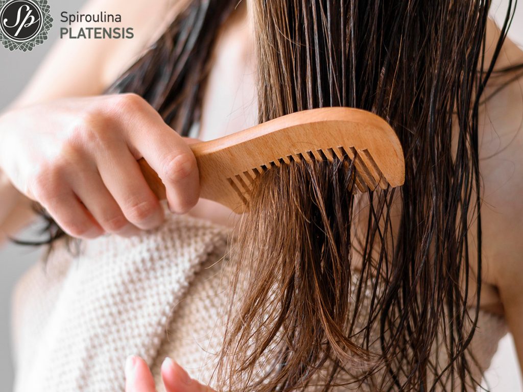 Τριχόπτωση; Αντιμετώπισέ τη με Spiroulina PLATENSIS! close up woman combing hair loss spiroulina platensis spirulina