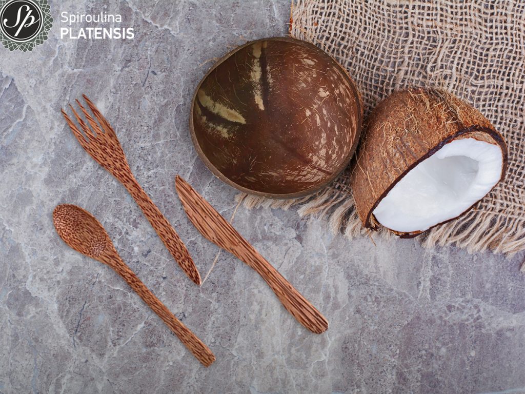 Think green: Απόκτησε προϊόντα από Κοκοφοίνικα half cut coconuts stone surface with burlap site