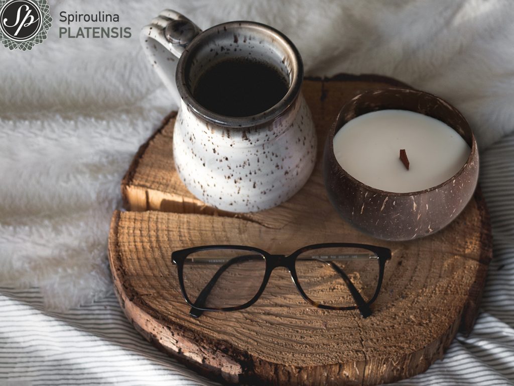 Coconut candle: το απόλυτο eco trend coconut candle sustainable eco product spiroulina platensis spirulina