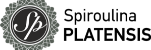 cropped logo381x147 black.png